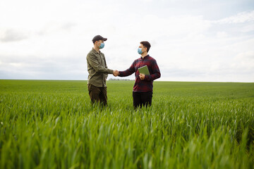 Wall Mural - Two men in the field shake hands. Two masked farmers inspect a green wheat field. Harvest check. Smart farm.