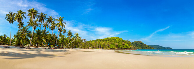 panorama of tropical beach