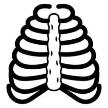 Bone Cage Vector Line Icon Design, Organ System Symbol, Human Anatomy Sign, Human Body Parts Stock Illustration, Human Ribs Concept, 