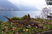 Sea Animals Grass Sculptures With Hammerhead Shark At Riviera Of Lake Geneva At Swiss City Of Montreux On A Cloudy Spring Day. Photo Taken April 4th, 2022, Montreux, Switzerland.