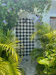 Wall Mural - Tiled outdoor shower among tropical plants