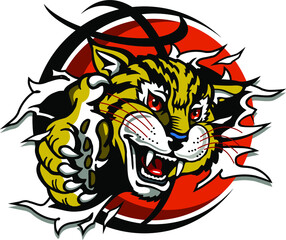wildcat mascot ripping through basketball for school, college or league