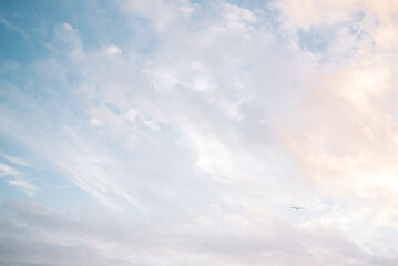 Wall Mural - ethereal blue and pink beach clouds with one lone bird flying