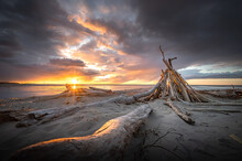 Colorful Sunset At Wild Seaside With Giant Driftwood On Seashore. Baltic Sea In Stormy Weather. 