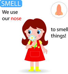 Cute girl is smelling with nose. Funny montessori game for kids. Learning five senses. Vector illustration.