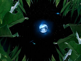 Wall Mural - moon on starry sky bright dark shiny clear nebula star flares fall background copy space template