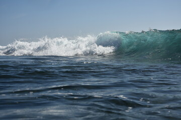 Wall Mural - the waves seen from within and from below