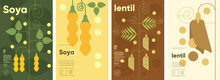 Lentil. Soya. Set Of Vector Illustrations. Label Design, Price Tag, Cover Design. Backgrounds And Patterns.