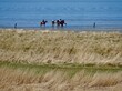 Reiter mit Pferden in der Nordsee