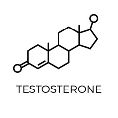 vector thin line icon of testosterone molecular structure. chemical formula