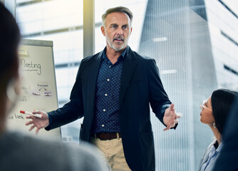 This strategy is being used globally. Shot of a businessman giving his staff a training seminar.