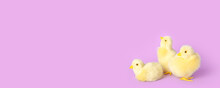 Cute Yellow Chickens On Lilac Background With Space For Text