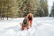 © pressmaster - Cheerful African American man in winterwear pushing sledge with his son while moving along road covered with snow in forest or park
