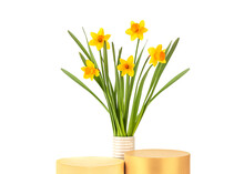 Two Cylinder Podiums And Bouquet Of Daffodils Flowers In A Ceramic Vase On A White Background Isolated, Front View. Empty Showcase For Product Presentation, Pedestal For Cosmetic Product.