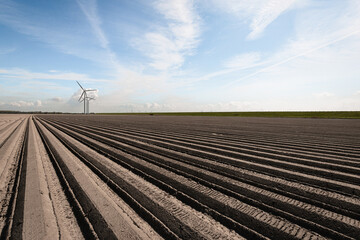 Wall Mural - Dutch landscape with converging potato ridges. Wind turbines are in the background. The photo was taken on a beautiful spring day near Herkingen, municipality of Goeree-Overflakkee, South Holland.