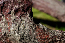 Detail From Rusty Old Anchor Outdoors