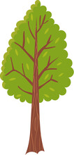 Deciduous Green Tree
