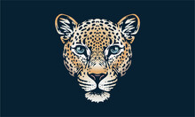 Indian Leopard On Dark Background, Vector, Illustration Logo, Sign, Emblem.