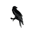 bearded vulture bird silhouette vector illustration abstract