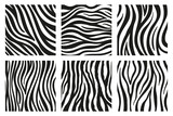 Fototapeta Zebra - Black stripes on the skin of a zebra for decoration graphics