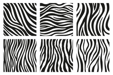 Black Stripes On The Skin Of A Zebra For Decoration Graphics