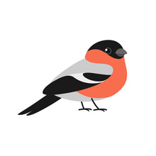 Cartoon Bird. Cute Bullfinch. Vector Illustration For Prints, Clothing, Packaging, Stickers.