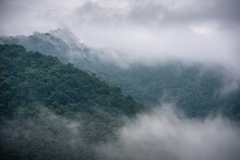 Misty Mountain. Panoramic Shot Of Trees In Forest Against Sky. Misty Rain Forest. Color Image Of The Clouds Flowing Through The Trees. Rainforest Landscape Jungle Background. Jurassic World Forest. 