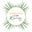 © frikota - Palm Sunday banner in Spanish. Domingo de Ramos. Holy Week. Vector illustration, flat design
