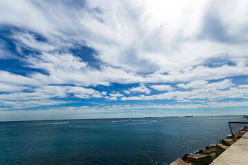 palm trees on the beach of Barcelona and blue sky 