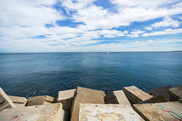 palm trees on the beach of Barcelona and blue sky 