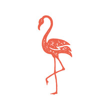 Elegant Red Flamingo Standing On One Paw Decorative Design Grunge Texture Vector Illustration