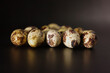 group of quail eggs in black background