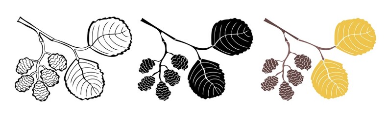 Wall Mural - Alder twigs outline, in silhouette and colorful isolated on white background. Autumn design elements. Vector illustration.