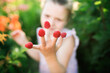 © natalialeb - Cute funny european girl child eats raspberries with her hands, daughter helps pick berries in the garden, eco-friendly healthy food and natural berries