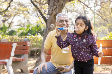 Wall Mural - Senior man with granddaughter having fun blowing bubbles at park