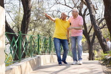 Wall Mural - Two excited senior male friends pointing finger and admiring view at park