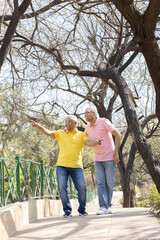 Wall Mural - Two excited senior male friends pointing finger and admiring view at park