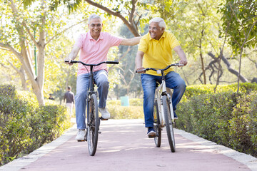 Two cheerful senior men having fun riding bicycle at park