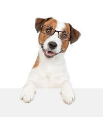 Poster - Smart Jack russell terrier puppy wearing eyeglasses looks above empty white banner. isolated on white background