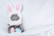 Funny Kitten Wearing Easter Rabbits Ears Sleeps With Painted Eggs On A Bed Under Warm White Blanket At Home. Top Down View. Empty Space For Text