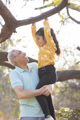 Wall Mural - Cheerful senior man helping granddaughter hanging from tree branch at park