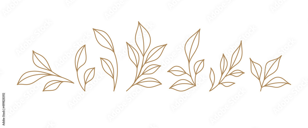 Set monochrome simple leaves botanical branches with stem and foliage vector illustration
