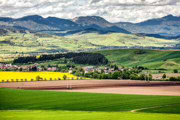 Wall Mural - Agricultural fields in the countryside