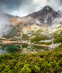 Wall Mural - Mountain pine, lake and peak in High Tatras mountains at Slovakia