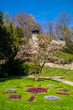Stadtgarten Überlingen am Bodensee Blütezeit Frühling  