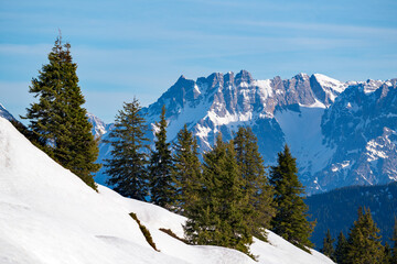 Wall Mural - beautiful sunny day in the alps in the hohe tauern national park in austria with clear blue sky and snow capped mountains 