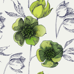 Spring green flowers of hellebore or Lenten rose seamless pattern