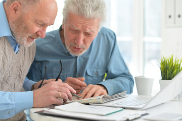 Portrait of two confident senior businessmen working