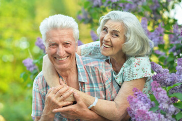 Sticker - Beautiful senior couple hugging in the park