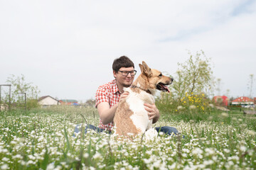 Wall Mural - Happy man sitting with mixed breed shepherd dog on green grass in spring flowers